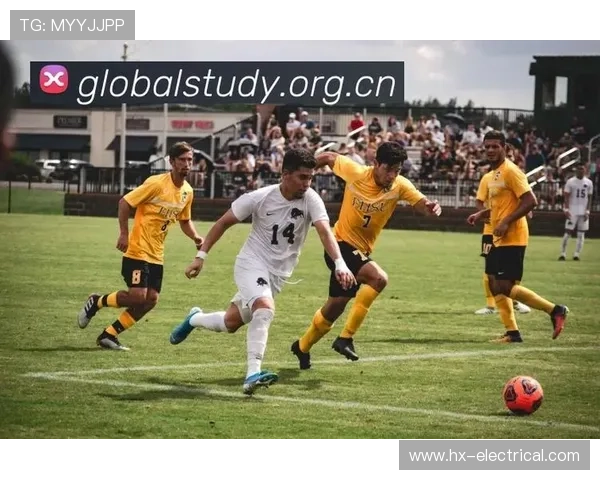 ✅体育直播🏆世界杯直播🏀NBA直播⚽- 海军舰艇编队将访问香港 - sports